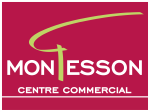 Centre commercial Montesson